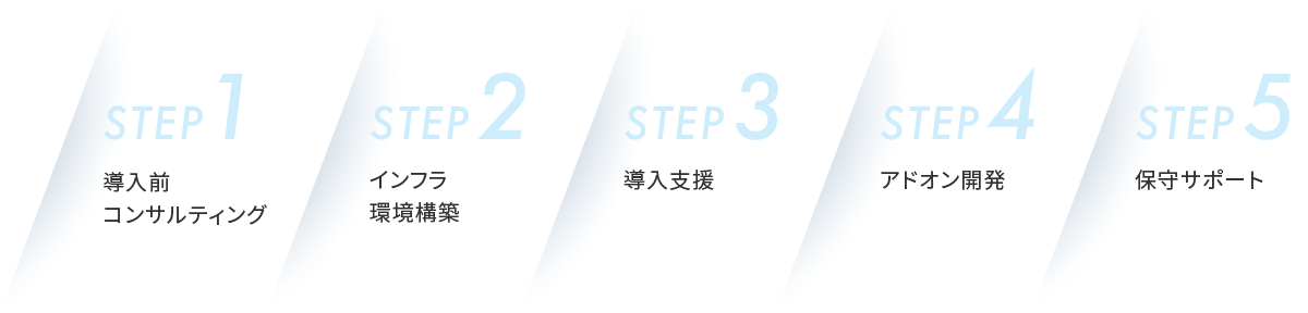 STEP1:導入前コンサルティング、STEP2:インフラ環境構築、STEP3:導入支援、STEP4:アドオン開発、STEP5:保守サポート